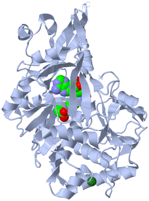 Image Biological Unit 1