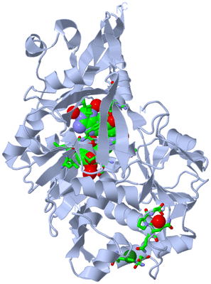 Image Biol. Unit 1 - sites