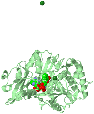 Image Biological Unit 2