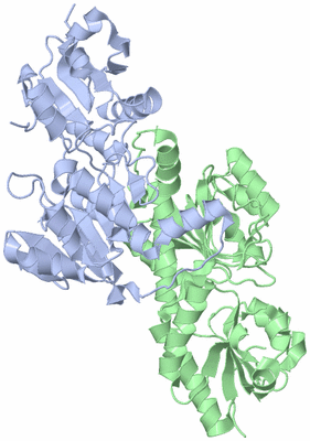 Image Asym./Biol. Unit