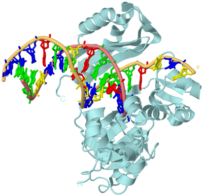 Image Biol. Unit 1 - sites