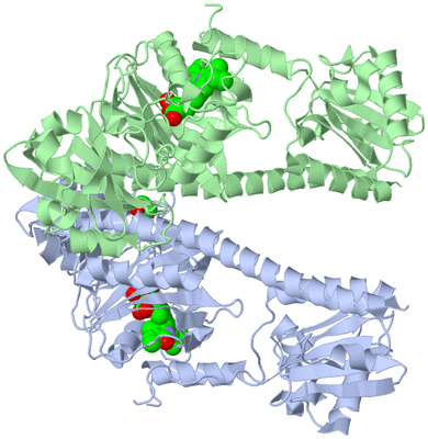 Image Biological Unit 1