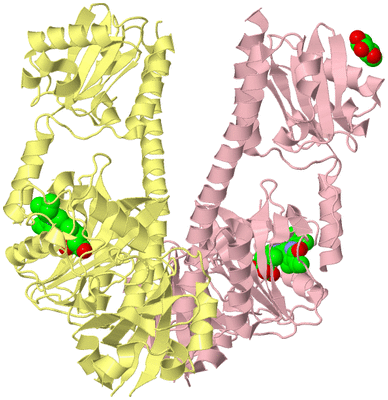 Image Biological Unit 2