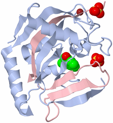 Image Biological Unit 1