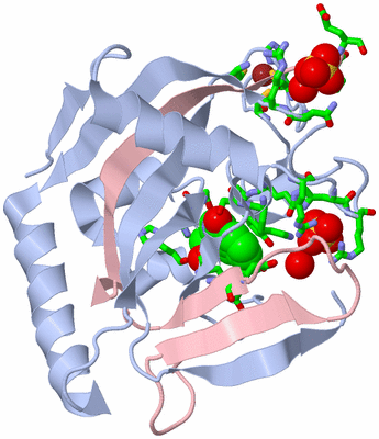 Image Biol. Unit 1 - sites