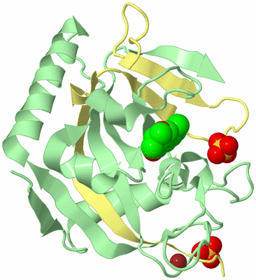 Image Biological Unit 2