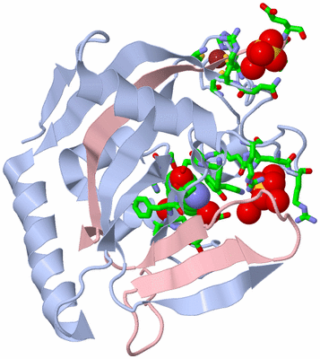 Image Biol. Unit 1 - sites