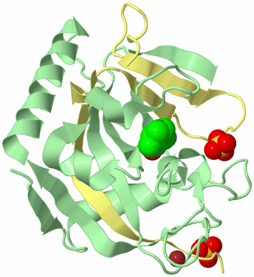 Image Biological Unit 2