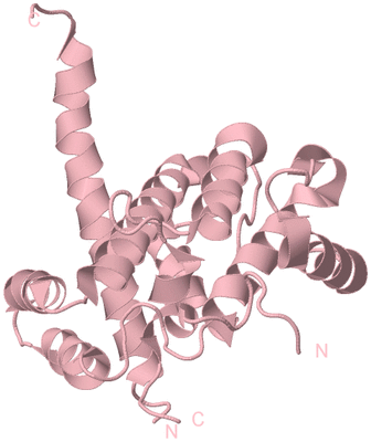 Image Biological Unit 3