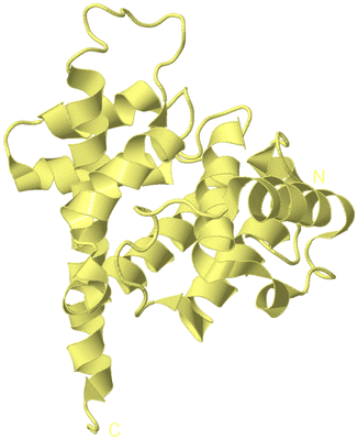 Image Biological Unit 4