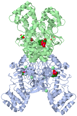 Image Biological Unit 1