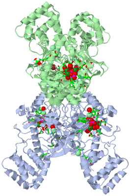 Image Biol. Unit 1 - sites