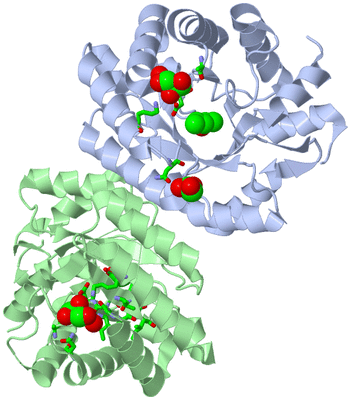 Image Biol. Unit 1 - sites