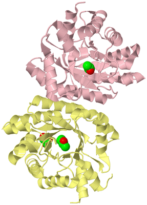 Image Biological Unit 2