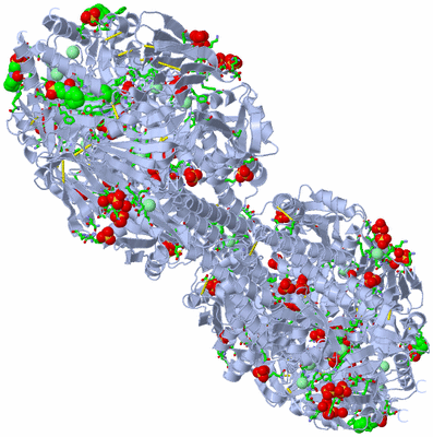 Image Biol. Unit 1 - sites