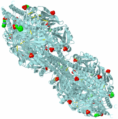 Image Biological Unit 1