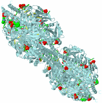 Image Biol. Unit 1 - sites