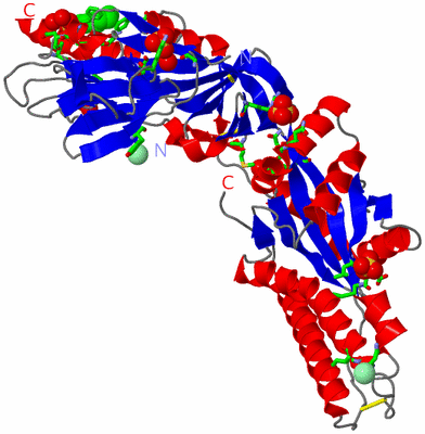 Image Asym. Unit - sites