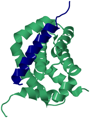 Image Biological Unit 10