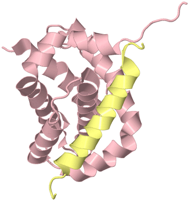 Image Biological Unit 3