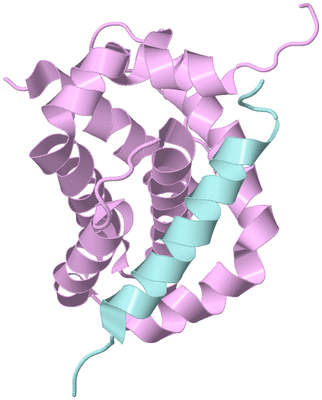 Image Biological Unit 4