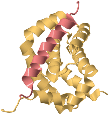 Image Biological Unit 5