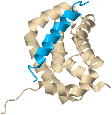 Image Biological Unit 6