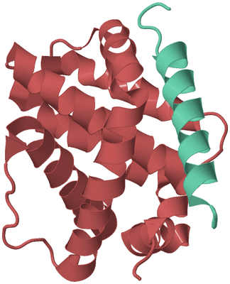 Image Biological Unit 7