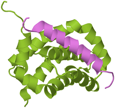 Image Biological Unit 8