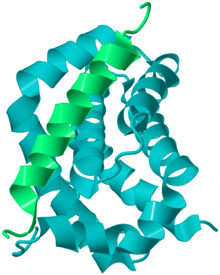 Image Biological Unit 9