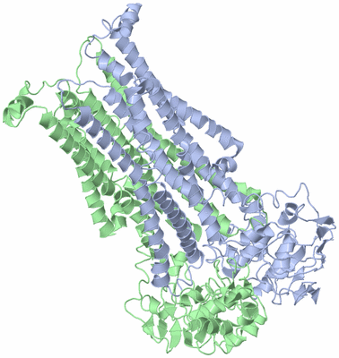 Image Biological Unit 2