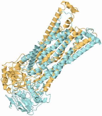 Image Biological Unit 3