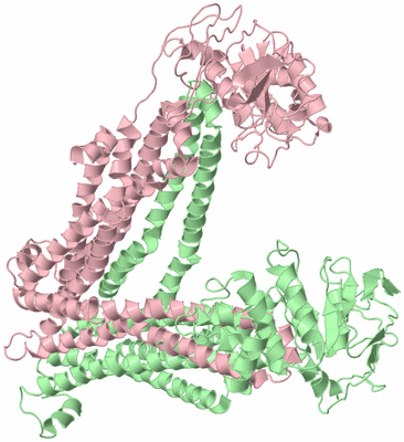 Image Biological Unit 2