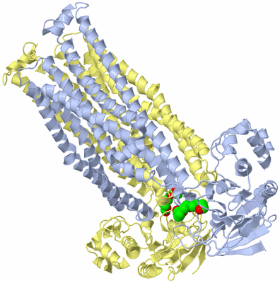 Image Biological Unit 1