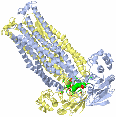 Image Biol. Unit 1 - sites