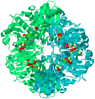 Image Biological Unit 1