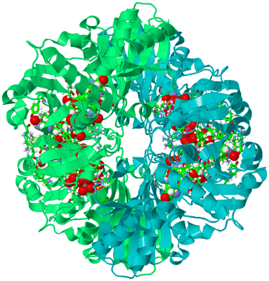 Image Biol. Unit 1 - sites