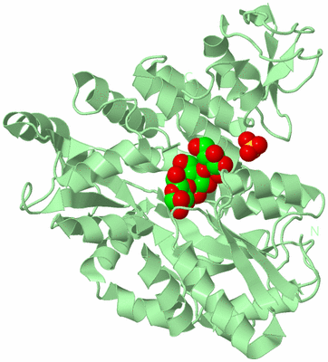 Image Biological Unit 2