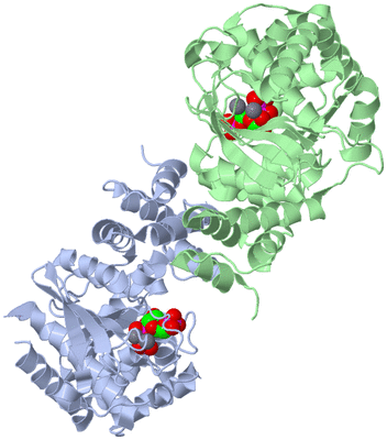 Image Asym./Biol. Unit