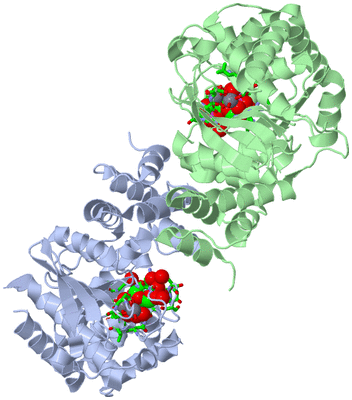 Image Asym./Biol. Unit - sites