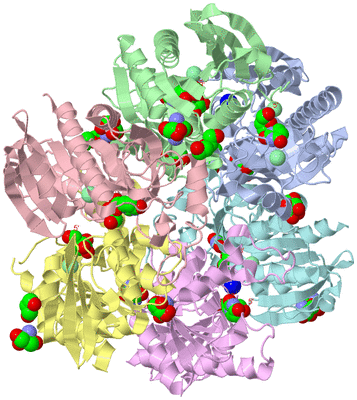 Image Asym./Biol. Unit