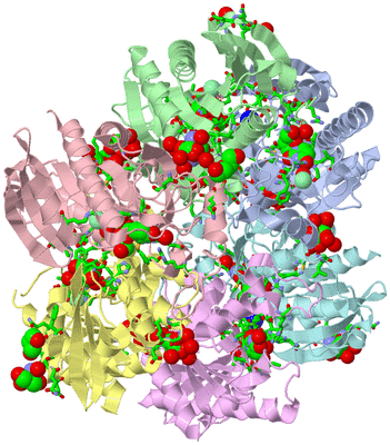 Image Asym./Biol. Unit - sites