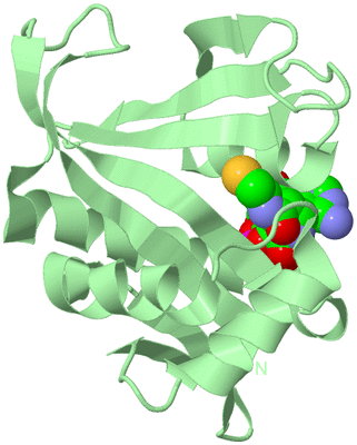 Image Biological Unit 2