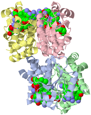 Image Asym./Biol. Unit