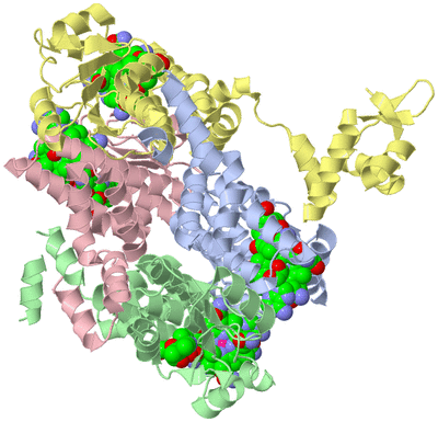 Image Biological Unit 1