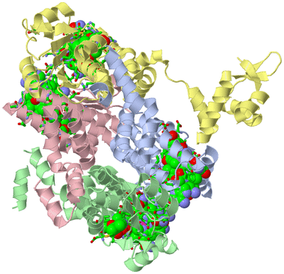 Image Biol. Unit 1 - sites