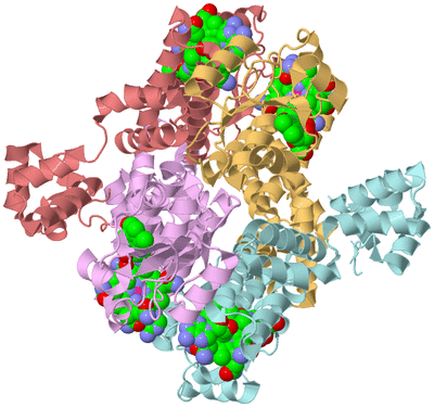 Image Biological Unit 2