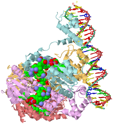 Image Biological Unit 2