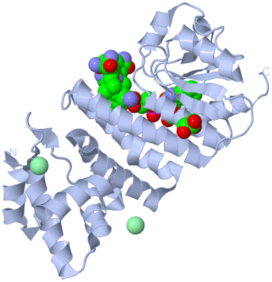 Image Biological Unit 1