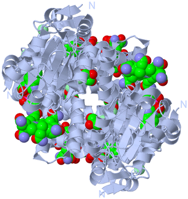 Image Biological Unit 2